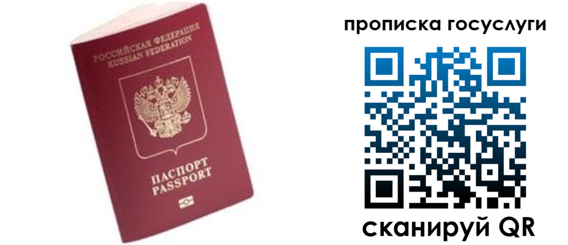 прописка в Чистополье